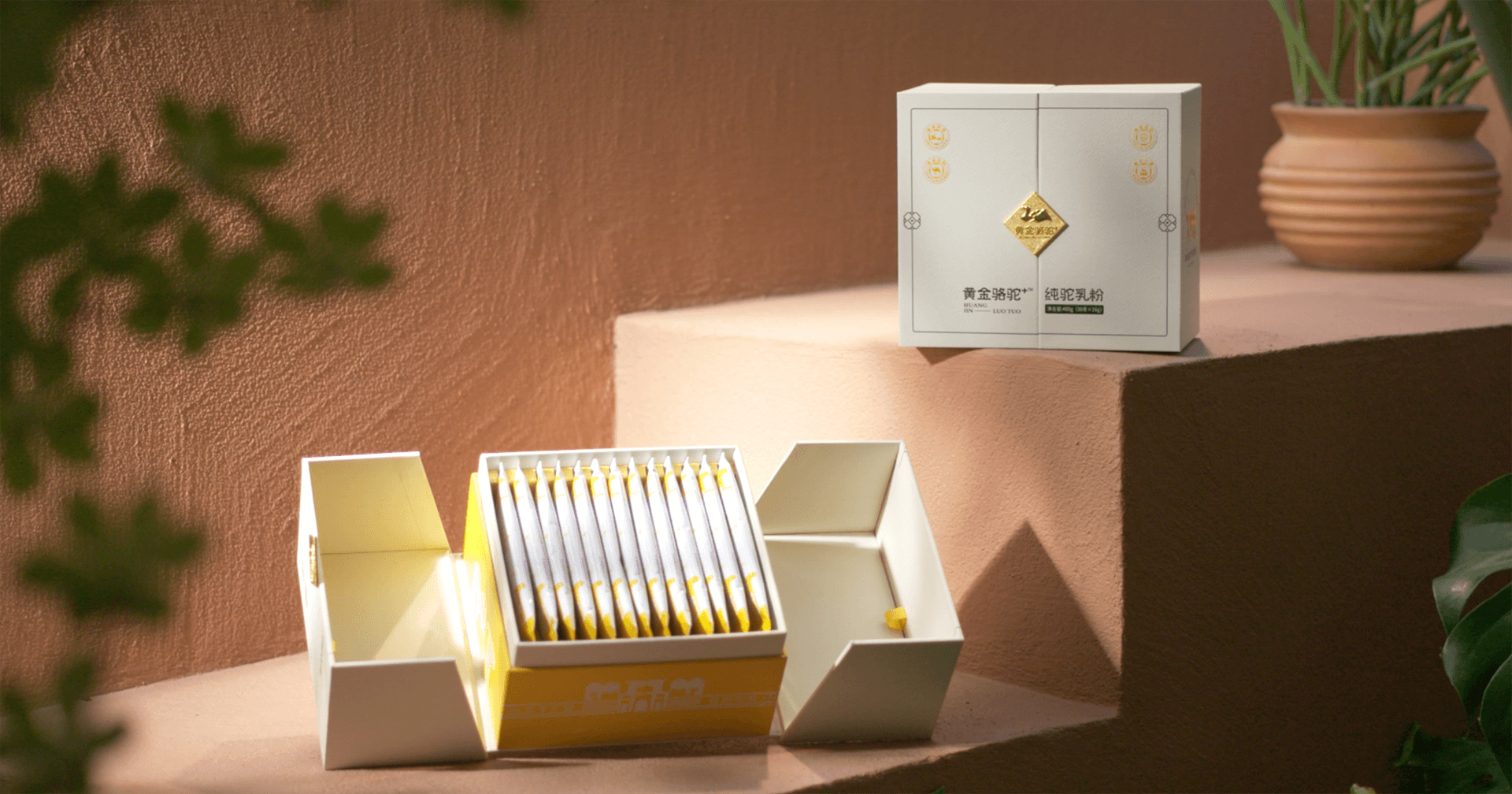 定位小众高端乳粉，怡亚通推出驼奶品牌“黄金骆驼+”，角逐乳品新市场！